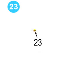 Clutch Assembly Farr Style HD20000 (80K) Parker Countersunk Hex-Hed Plug 219P-8:1